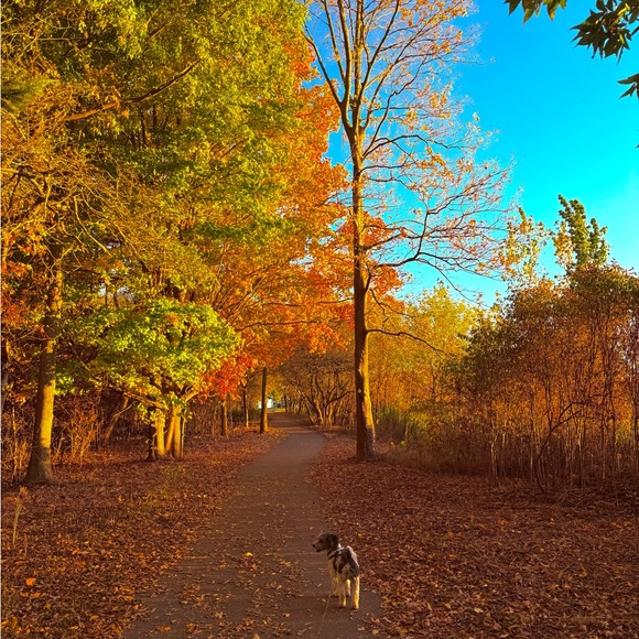 Meet your Posher, Rosalee - Picture 1 of 1